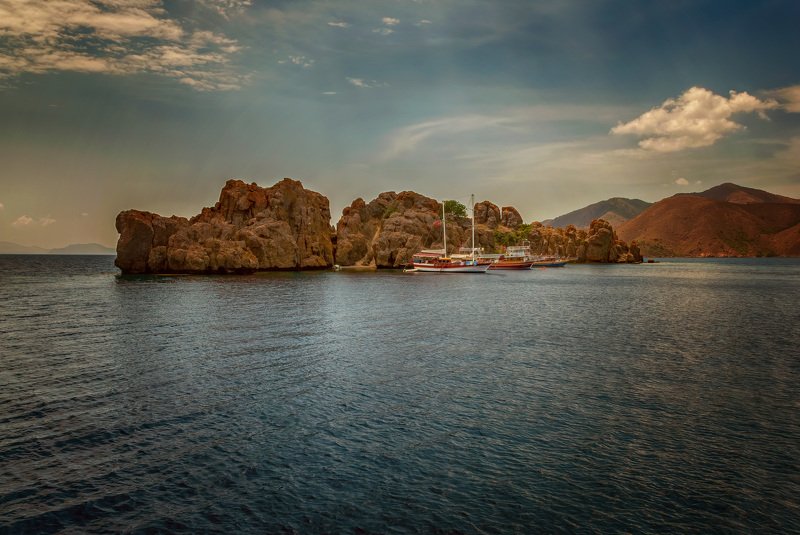 Зубы драконаphoto preview