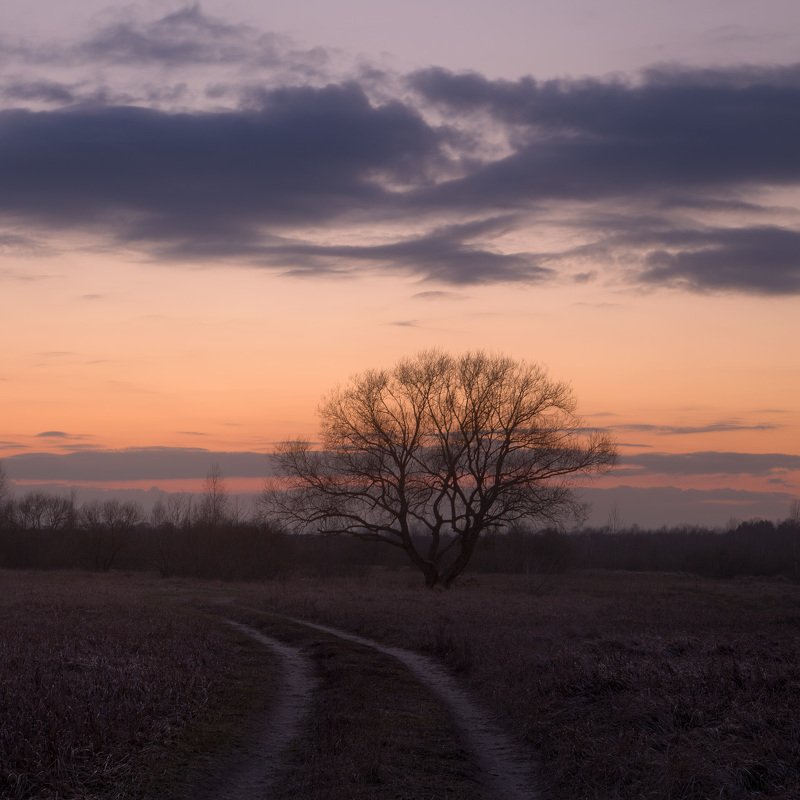 Сумрак теплого февраля фото превью