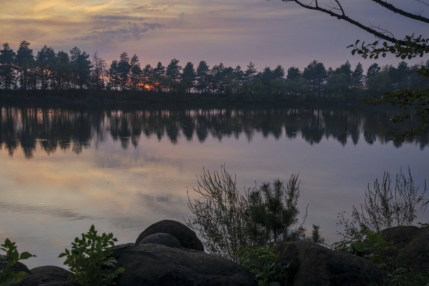 Вечернее. Автор: Алексей Рыльский , Алексей Рыльский