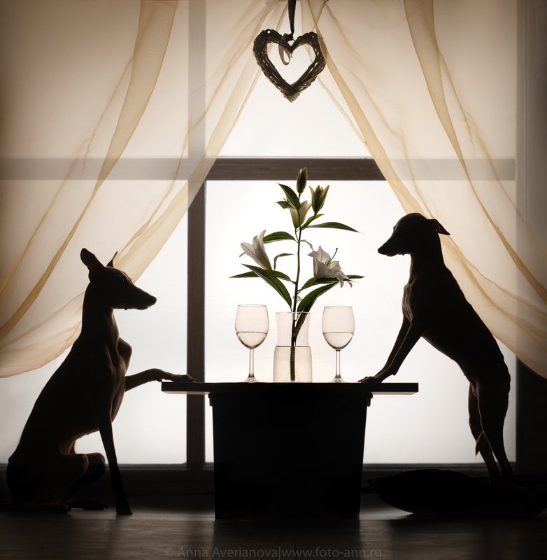 ужинphoto preview