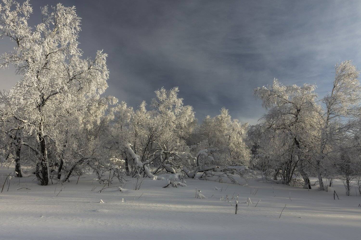 *******. Автор: Андрей Шарапов , Андрей Шарапов