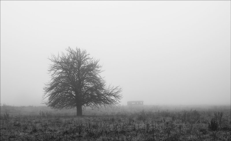 чб Abstract naturephoto preview