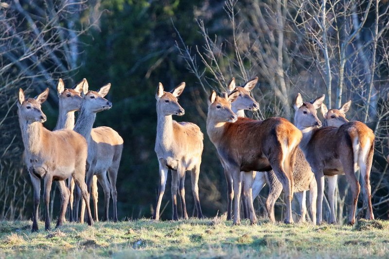 111 111photo preview