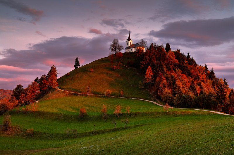 slovenia, morning, hill, church, sunrise, autumn, tree, road, Church hillphoto preview
