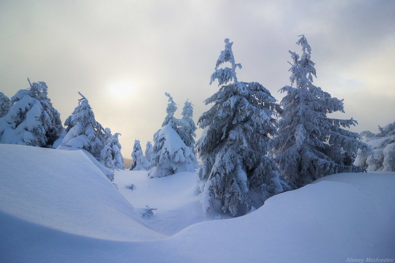 зима, карпати,  пішконя, зима, сумерки, хребты, карпаты ***photo preview