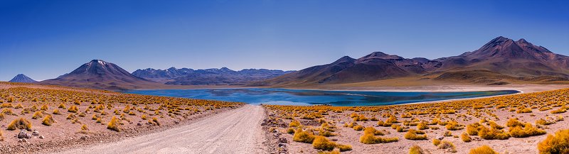 Laguna Miscantiphoto preview