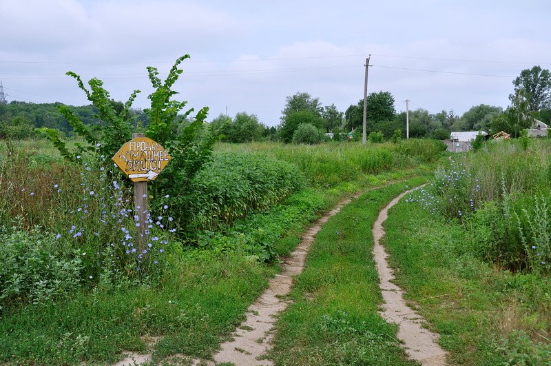 Деревенские зарисовкиphoto preview