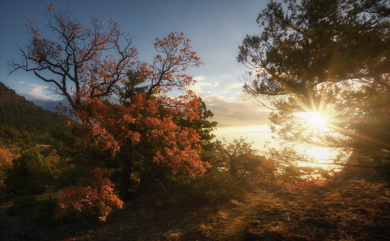 Тропинками Тавров. фото превью
