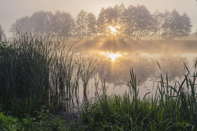 весна,паводок,утро,рассвет,пейзаж,природа,дерево,украина,гадяч,сергей корнев,красота,фотограф,пейзажная фотография,колорит,искусство,композиция Пламя разгораетсяphoto preview
