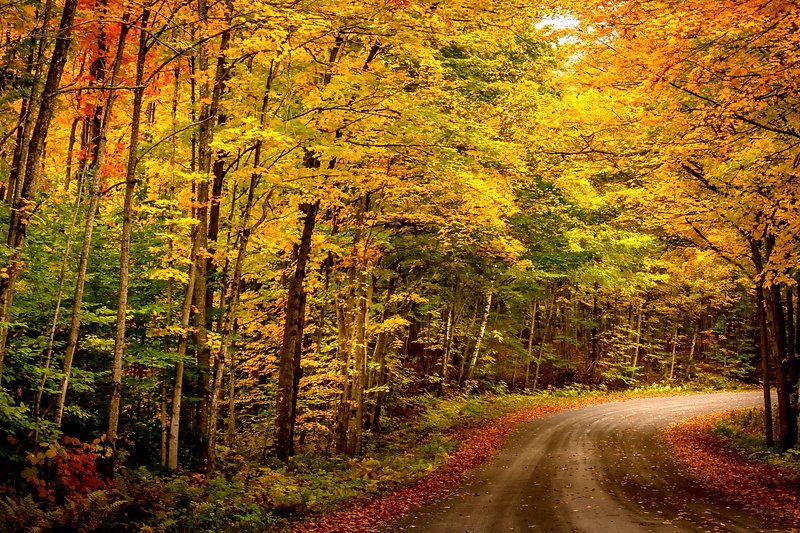 Осенний поворот...photo preview