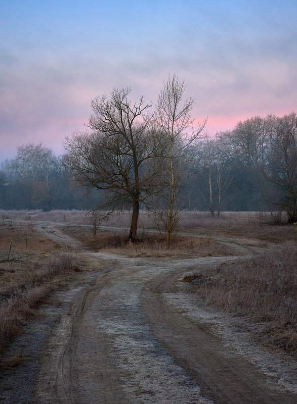 Married couple...photo preview