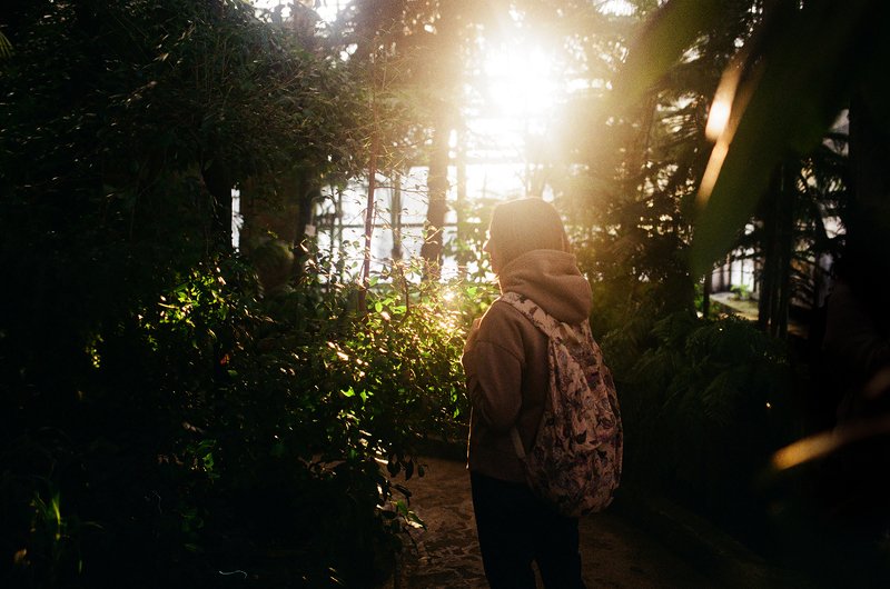 пленка, kodak gold 200, В летнем садуphoto preview