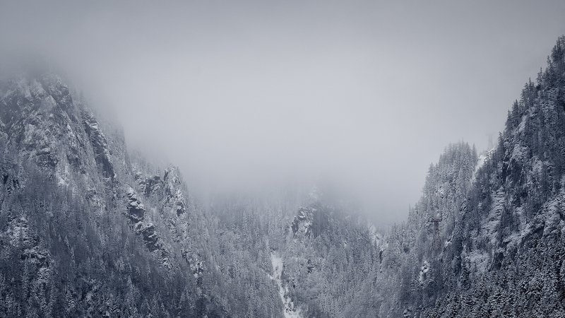 dream,landscape,alexandrucrisan,nature,scenery,countryside,far,away,romania,dreamland,magic,sound,lonely,mountain,myromania,forest,trees,winds,hill,tree,white,poem,haiku,minimalism,minimal,winterscape,cold,freeze,breeze,16,panoramic,wintertale,for,mist,dr Wuthering heightsphoto preview