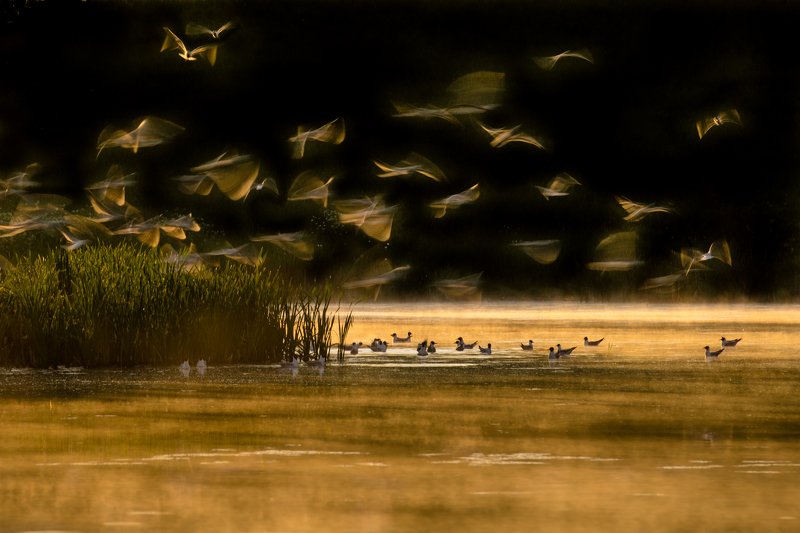 I go around Warmiaphoto preview