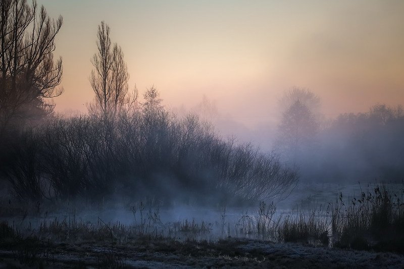 Утро нового дняphoto preview