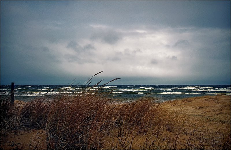 Балтика.photo preview