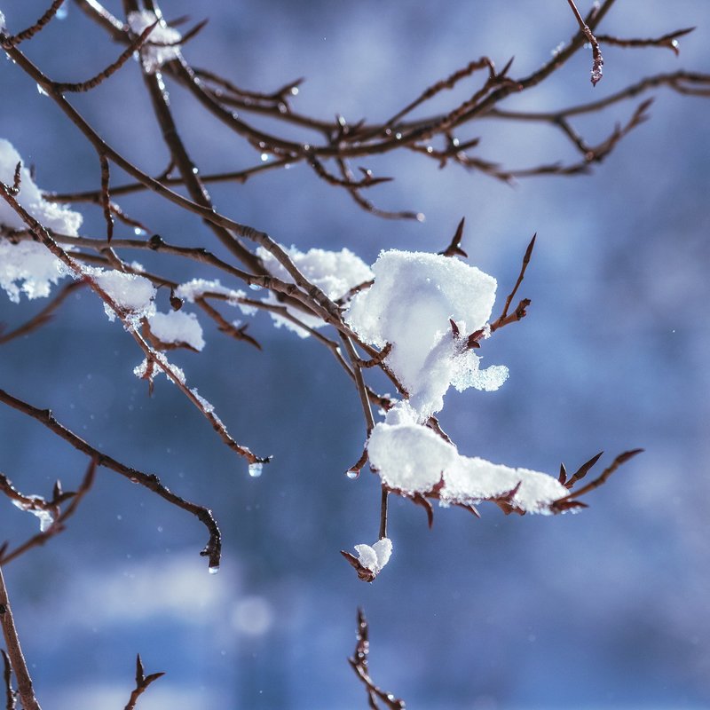 canon 55-250, beautiful, красивый, moment, момент, nature, природа, winter, зима, зимний, heart, сердечко, branches, ветки, snowy, снежно, Маленькое зимнее волшебство ;)photo preview