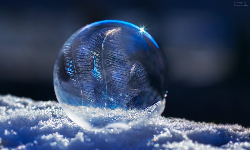 макро, природа, зима, снег, лед, мыльные пузыри, macro, nature, winter, snow, ice, soap bubbles, Морозные узорыphoto preview
