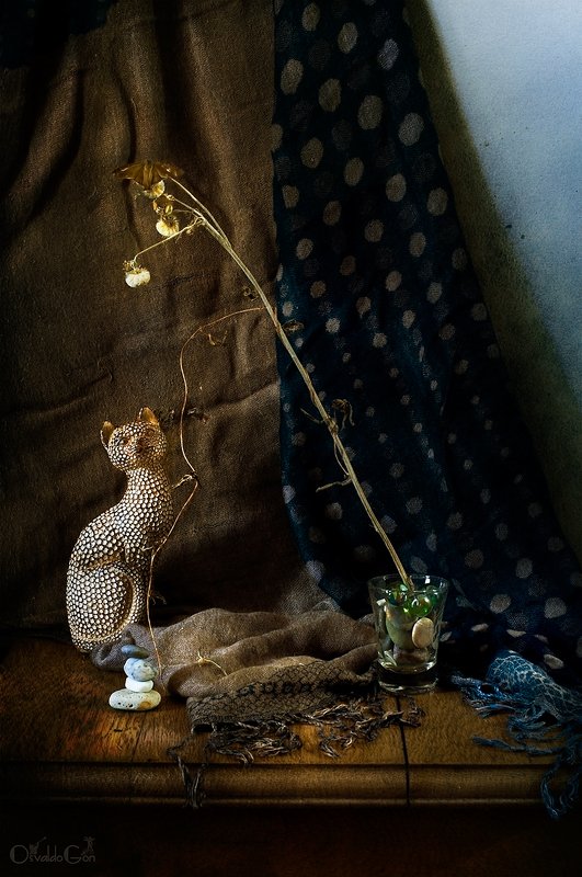 Homenaje a mi gatophoto preview