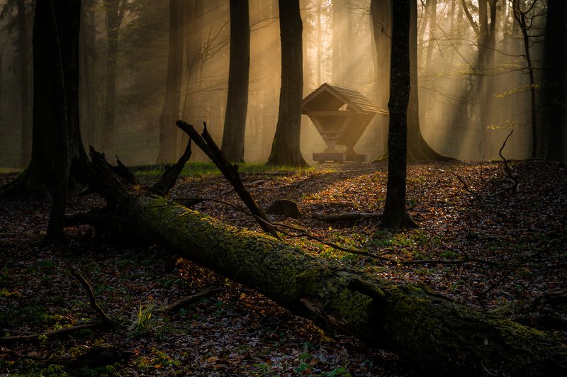 I go around Warmiaphoto preview