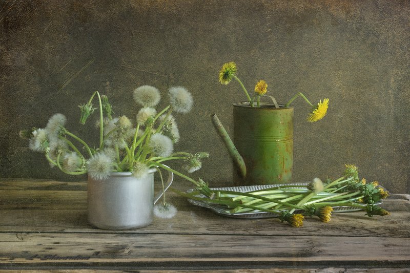 Одуванчикиphoto preview