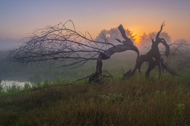 рассвет,пейзаж,туман,колорит,композиция,искусство,сергей корнев,украина,гадяч,фотография,фотограф,красота,пейзаж,природа Битва на рассветеphoto preview