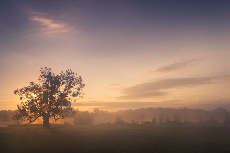 рассвет,весна,утро,дерево,пейзаж,природа,фотография,фотограф,украина,гадяч,сергей корнев,свет,облако,композиция,искусство Встречающий рассветphoto preview
