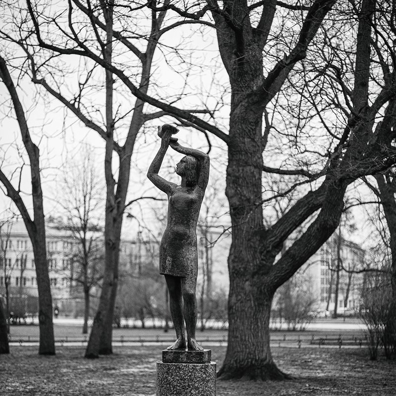 девушка деревья питер голубь черно-белое  Девушка и голубьphoto preview