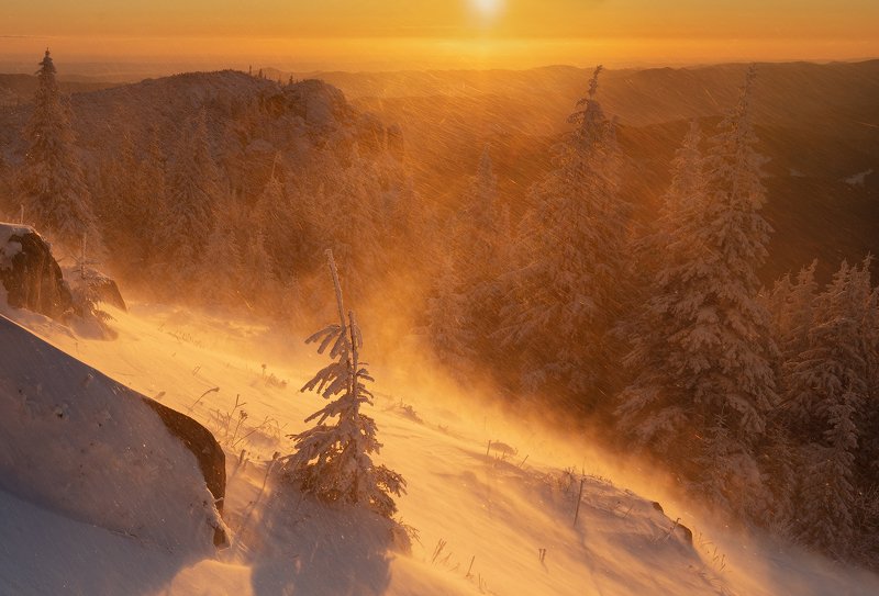 winter, trees, blizzard, snow, landscape, travel, nature, mountain, romania, cold, sunrise Crazy Blizzardphoto preview