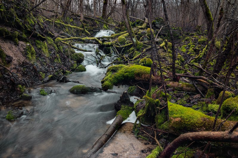 псков, ручей, водопад, ручей, лес, вода, поток, изборск Мельничий ручей.photo preview