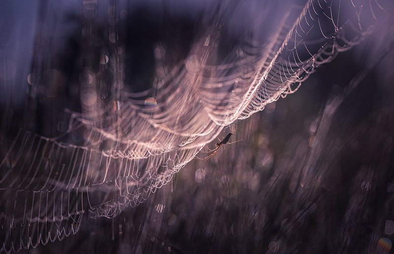 На карнавалеphoto preview