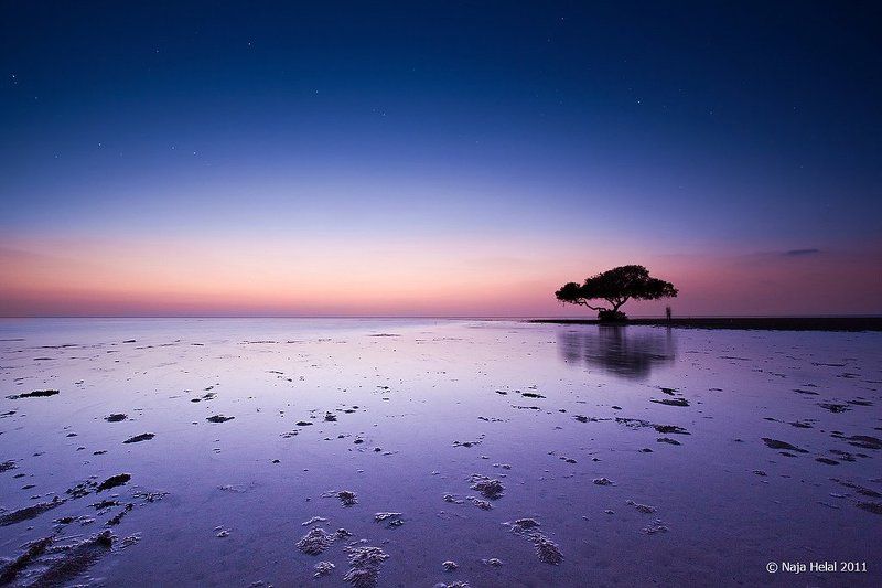 I\'m lonelyphoto preview