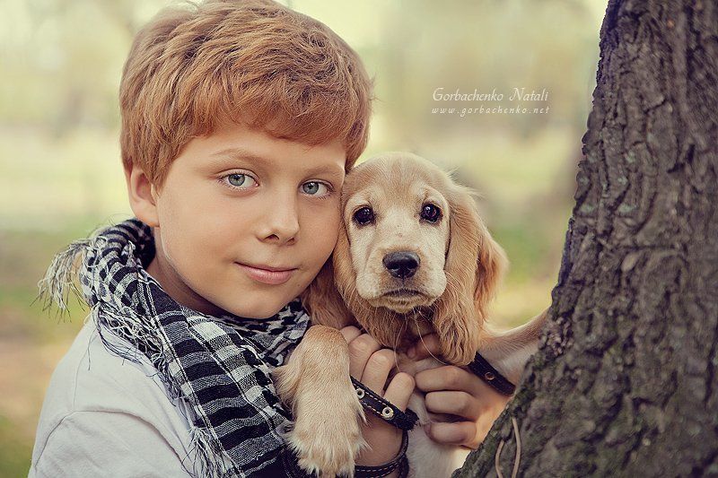 Друзьяphoto preview