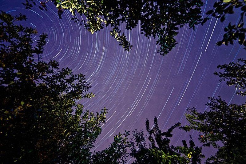 Ночью в саду...photo preview