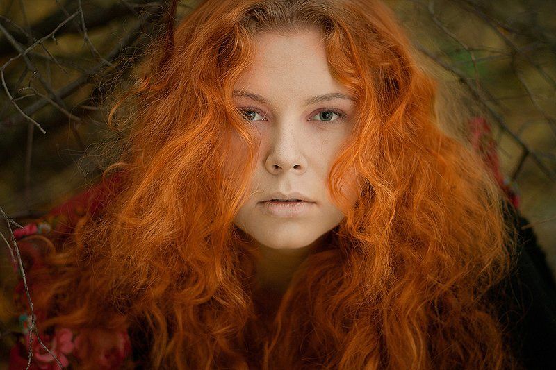 Рыжуля фото превью