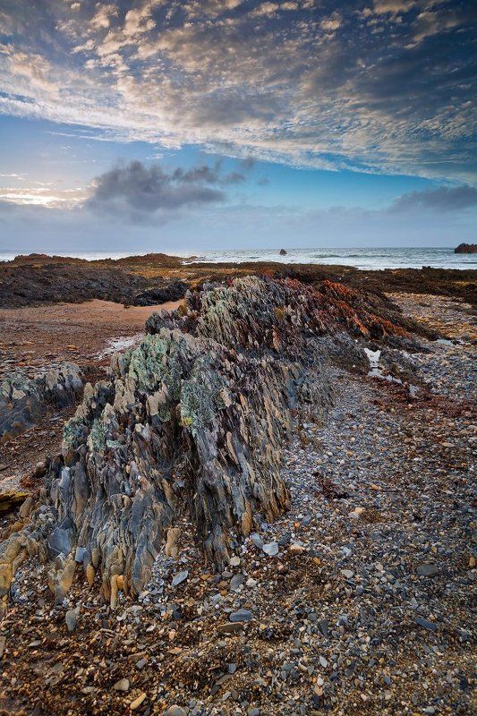 Оголенные нервы Sawyer Bayphoto preview