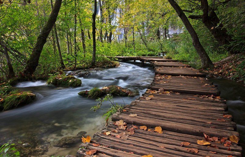 плитвицкие озера, хорватия photo preview