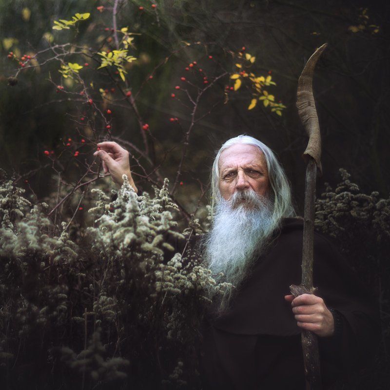 wolf, ulfr, man, portrait, color, stick, rosehip, hair, wild rose Ulfr - Enchanting Wild Rosephoto preview