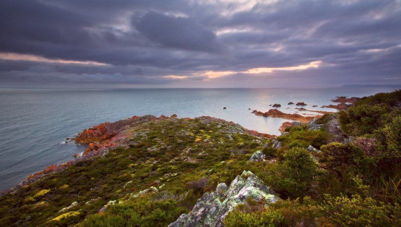 Rocky Capephoto preview