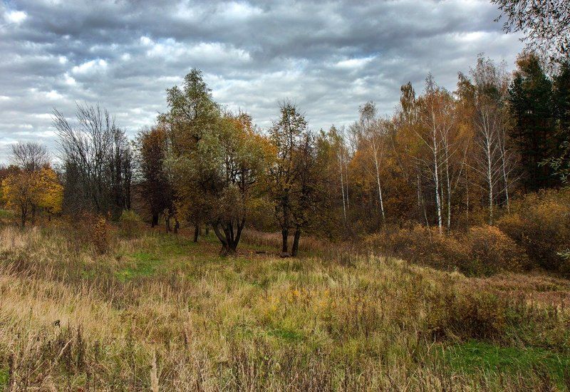 Осенняяphoto preview