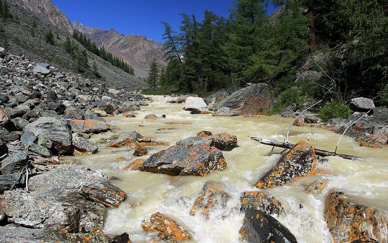 абыл-оюк, горная река, алтай Абыл-Оюкphoto preview