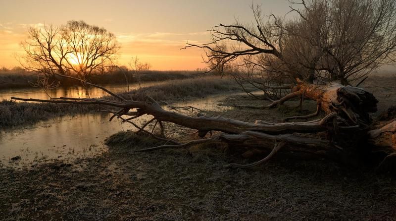 Холодное утро 23-го...photo preview