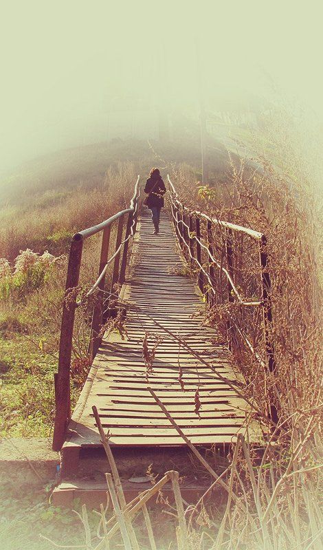 Мостикphoto preview