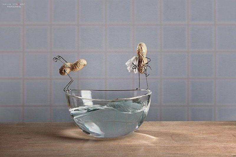 Курс пловцаphoto preview