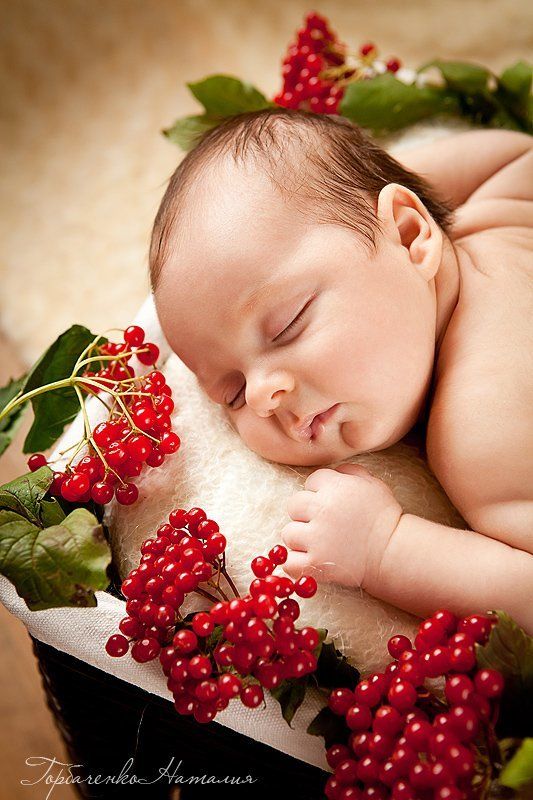 Калиновые сныphoto preview