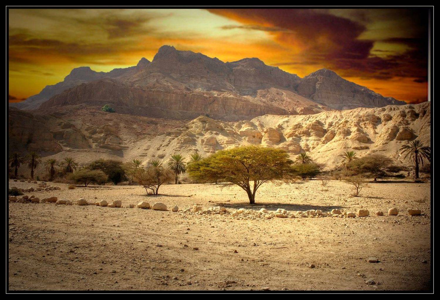 пустыня, негев, Gennadi