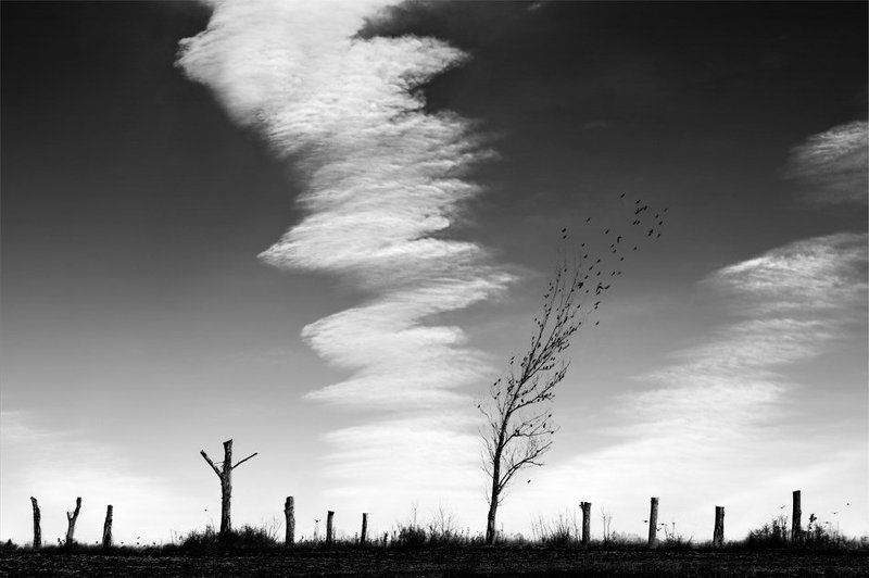 Last days of Novemberphoto preview