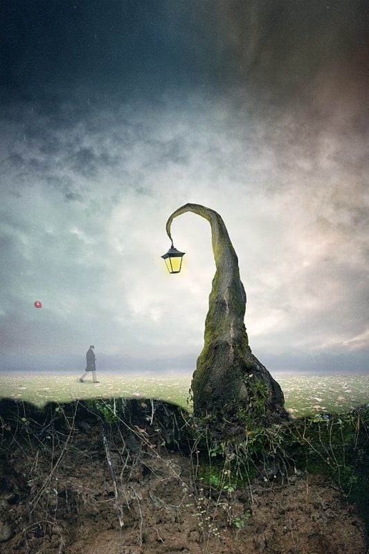 walking 2photo preview