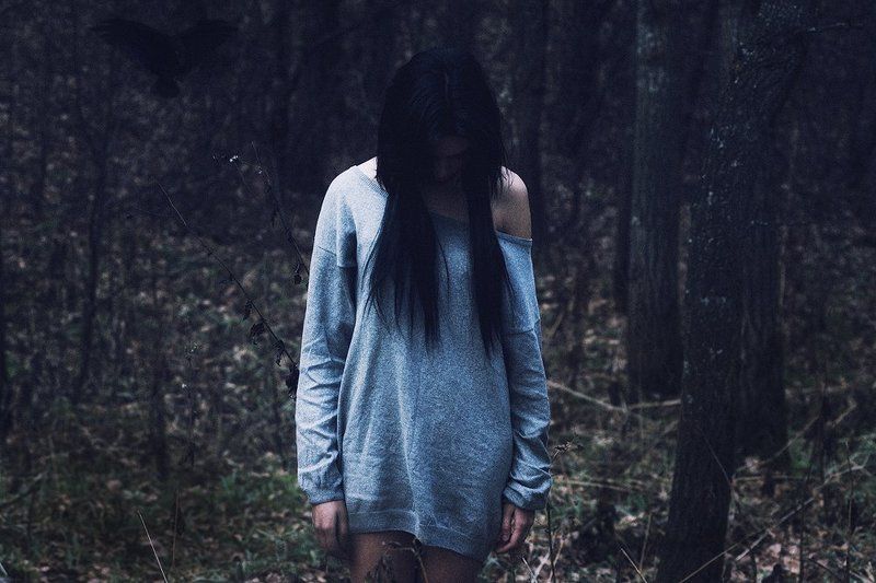 dark forestphoto preview