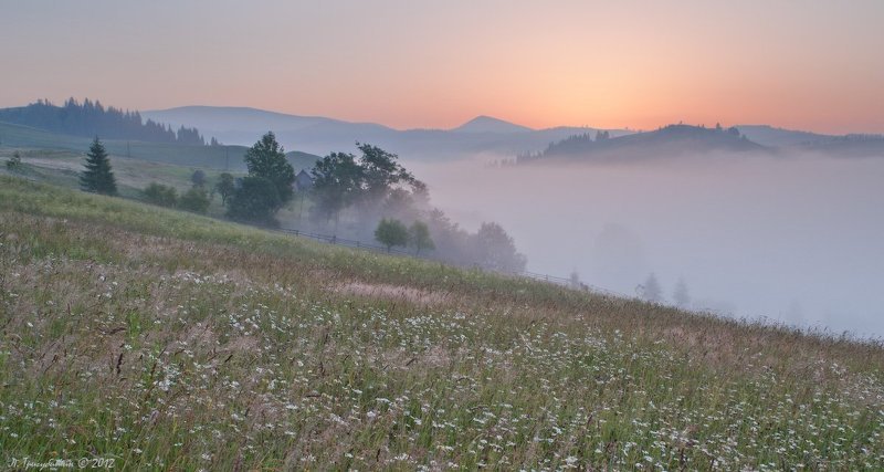 Утро в Карпатахphoto preview